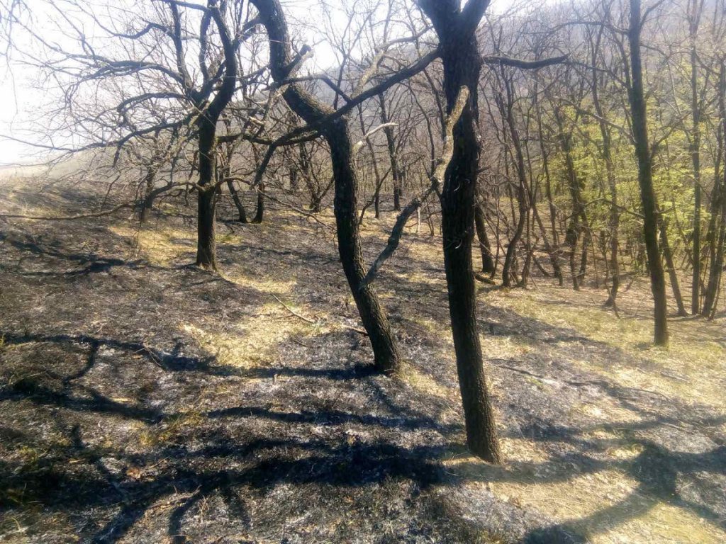 Foto: NP Fruška gora