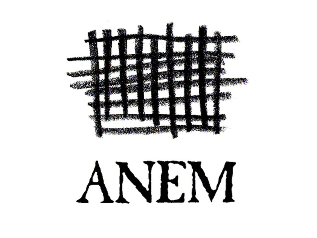 anem-logo-1-1024x768-1.jpg